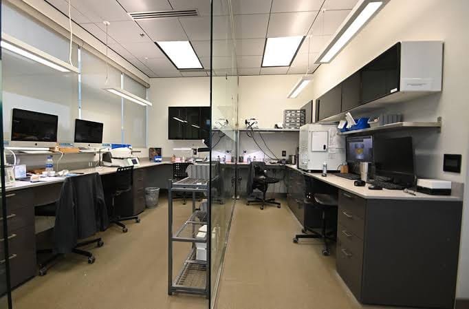 Dental model being prepared in a modern dental laboratory